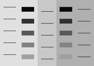 Vollständige Validierung 1D System mit PQ 1 calibration gel 300x228 1 e1761186287123